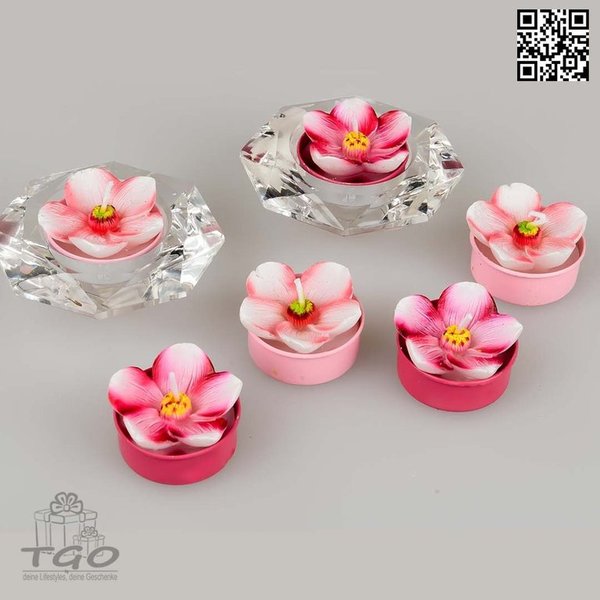 Formano Deko 6 Teelichter Clematis rosa im Geschenkkarton